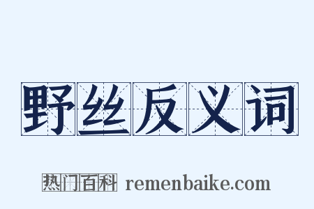 野丝反义词是什么意思的图片